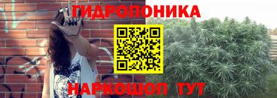 стафф Бугуруслан