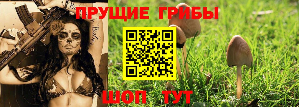 Псилоцибиновые грибы GOLDEN TEACHER Наро-Фоминск