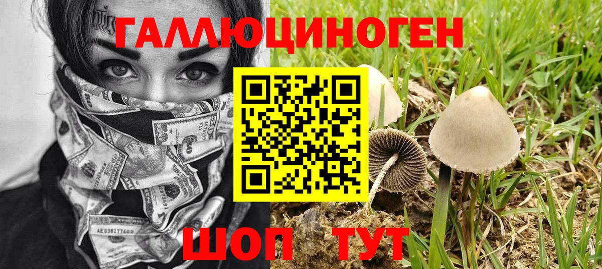 Наро-Фоминск  Галлюциногенные грибы Magic Shrooms  Вход с VPN  Псилоцибиновые грибы GOLDEN TEACHER 